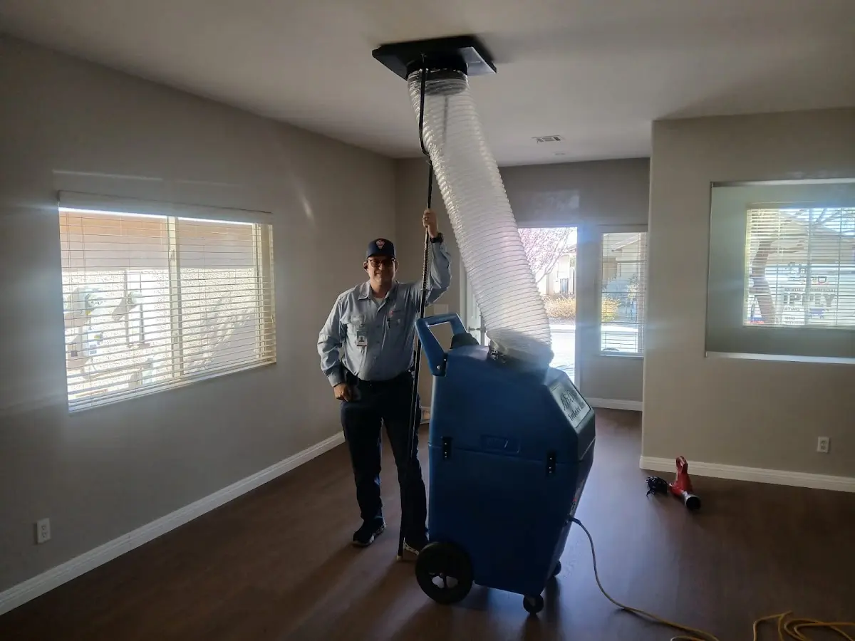 Professional Dryer Vent Cleaning work inside a Westchase home
